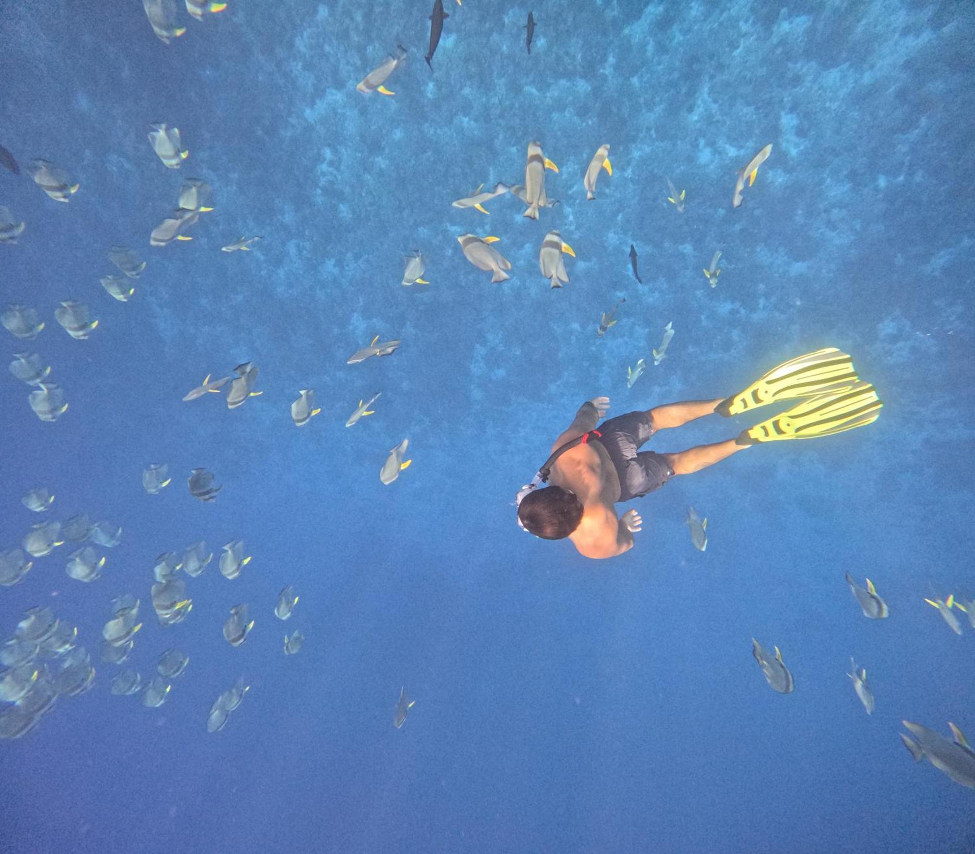 Fiyavalhu Resort Maldives Mandhoo Esterno foto